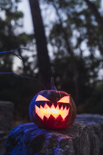 A Halloween pumpkin with a scary face on a rock in a forest