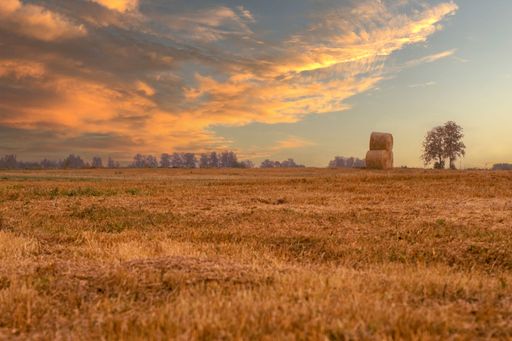 A scenic shot of sunset over an autumn field with dry grass in Lithuania, cool for background