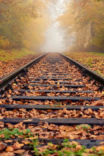 A vertical shot of fallen leaves on a railway track through a misty forest