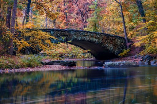 A beautiful shot of the Boulder Bridge in Rock Creek National Park, Washington DC