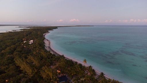 An aerial view of sea surrounded by beach with dense trees in Mexico