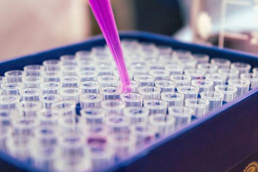A high angle shot of a laboratory assistant adding purple liquid in test tubes in the Bristol Robotics Laboratory