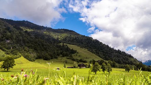 A landscape of alps covered in greenery under the sunlight and a blue cloudy sky in Austria