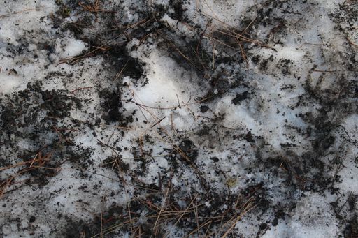 A closeup shot of snowy ground
