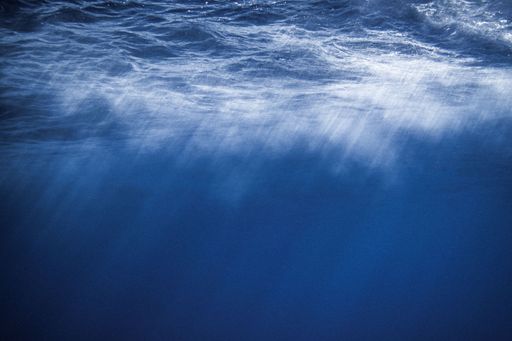 An underwater environment with reflection of sunlight
