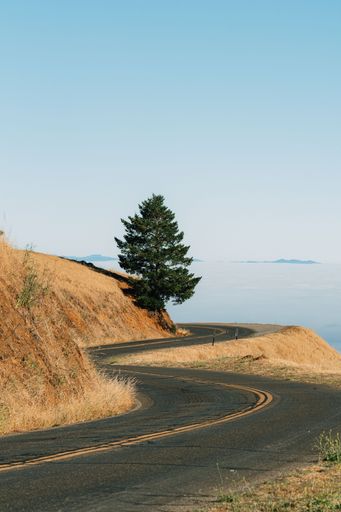 A vertical shot of the road surrounded by a field on the mountain, Mount Tamalpais, California