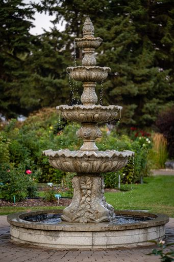A fountain in park surrounded by dense trees