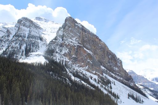 A scenic shot of a forest on the base of a dolomite mountain during winter