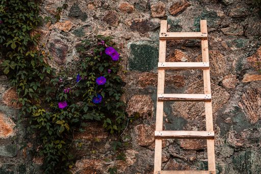 A beautiful shot of a wooden ladder leaned on a stone wall with purple flowers