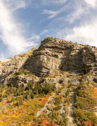 A vertical shot of a cliff under a cloudy sky during the autumn season