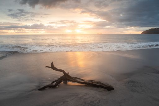 A piece of wood on a sandy beach with a beautiful sea in the background during the sunset