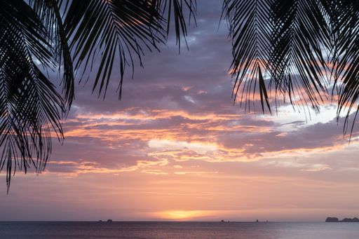 The beautiful view of the cloudy sky at sunset framed by palm tree leaves.
