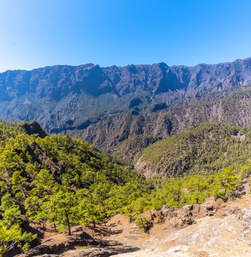 A beautiful scenery of La Cumbrecita National Park in the Caldera de Taburiente in the center of the island of La Palma, Canary Islands, Spain