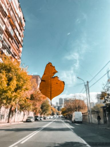 A selective focus of a golden autumn leaf floating in the air with a blurred background of the street