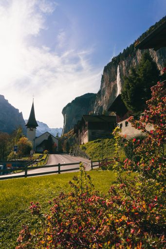 A vertical shot of a road in between mountains with bright flowers