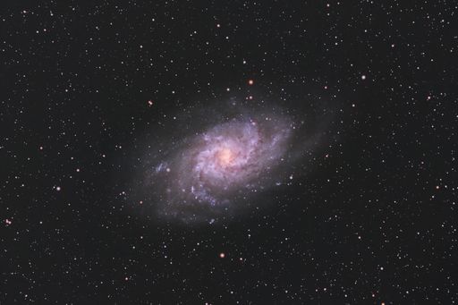 The Triangulum Galaxy M33 in the constellation Triangulum with Nebula