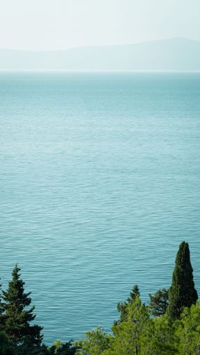A vertical shot of the amazing sea with trees in the foreground