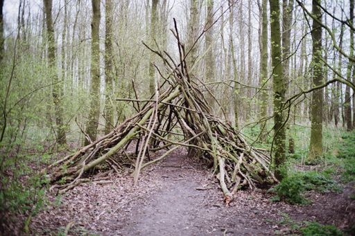 A teepee made of sticks in the forest