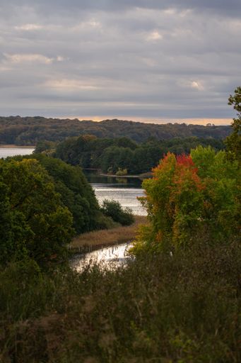 A vertical shot of a river flowing through green trees under a cloudy sky at sunset