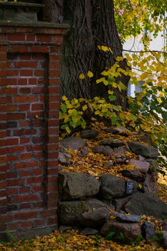 A vertical shot of a brick wall near an old tree with autumn leaves in a park