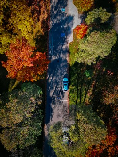 A bird's eye view of cars driving on the road surrounded by autumn trees