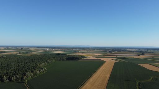 An aerial view of vast agricultural fields under a clear sky