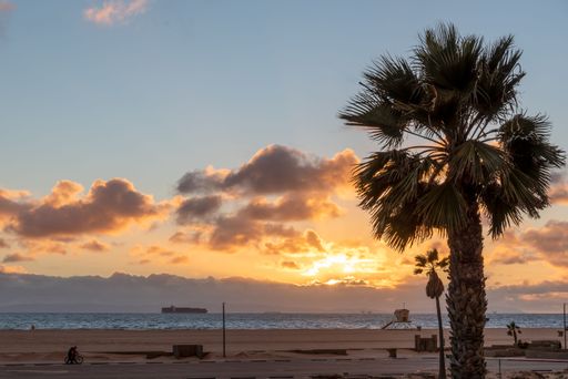 A Dramatic sunset with the silhouette of a palm tree in Huntington Beach, California
