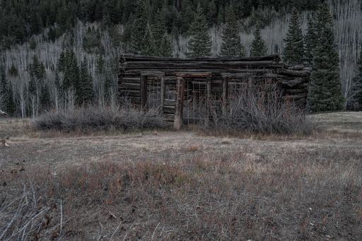 A closeup shot of an old abandoned wooden hut in the field, against a background of a forest