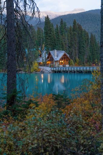 A vertical shot of country houses seen through trees by a lake
