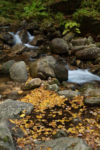 A vertical shot of Flume Gorge Trail in autumn in Franconia Notch Park, New Hampshire