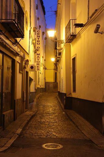 A narrow street in the city of Seville with old buildings and tiled path at night