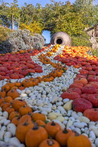 A vertical shot of the beautiful decoration with pumpkins and other vegetables in Osnabrueck, Germany