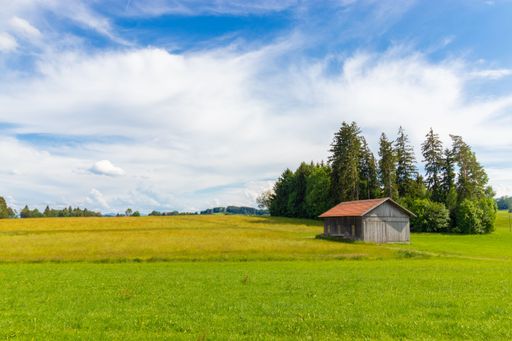 a lonly cabin in the Allgaeu, Germany with trees in the background on a wide green field.