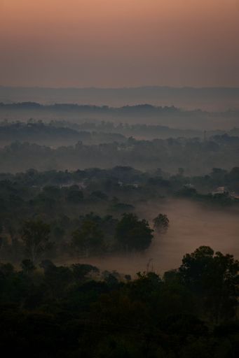 A greenery field at sunset in a mist