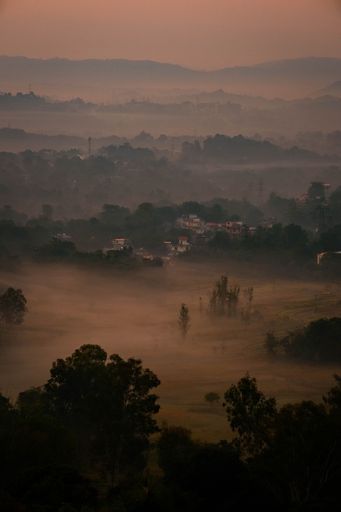 A greenery field at sunset in a mist