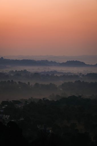 A greenery field at sunset in a mist