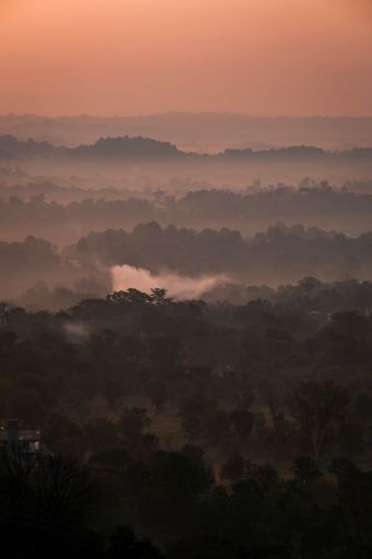 A greenery field at sunset in a mist