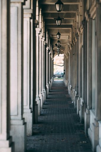 A vertical shot of the inside of a building with a narrow walkway between long columns