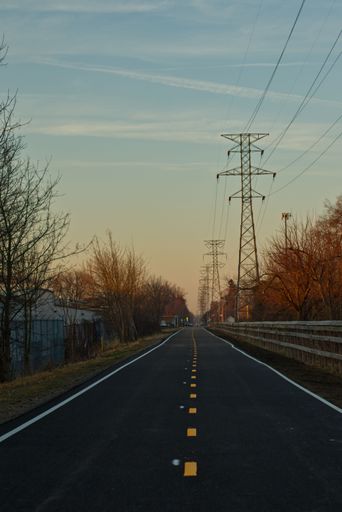 A vertical shot of a long road surrounded by trees