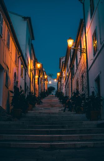 A vertical shot of street stairs surrounded by plants and illuminated by lamps of the buildings