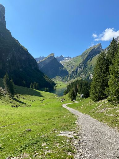 A vertical of a beautiful landscape of a green valley trail surrounded by alpine mountains