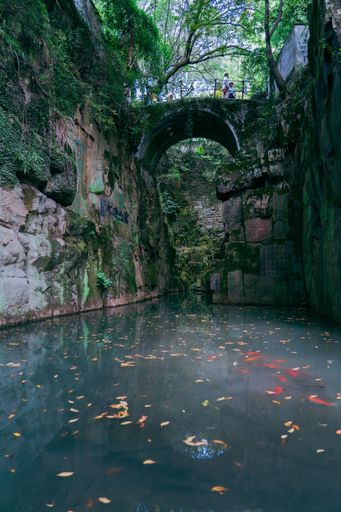 A vertical shot of a small bridge above the river surrounded by mossy walls.