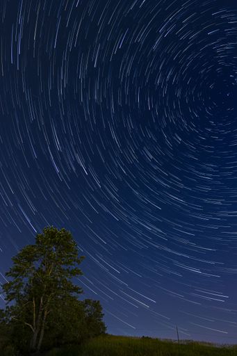 A vertical long exposure shot of star trails in a bright blue night sky