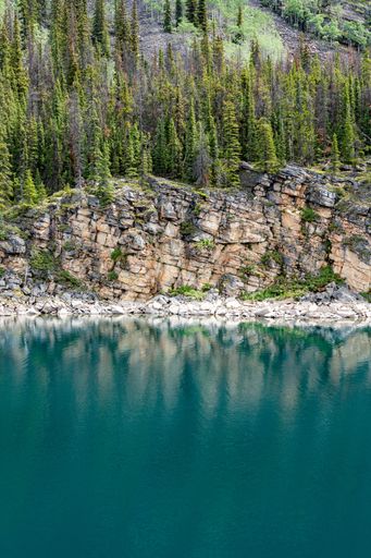 A vertical shot of turquoise lake with pine trees in background in Banff, Jasper National Park, Canada