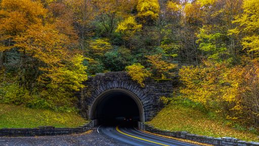 A scenic view of a road leading to a tunnel surrounded by beautiful autumn trees in Smokey Mountains