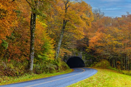 A scenic view of a road leading to a tunnel surrounded by beautiful autumn trees in Smokey Mountains