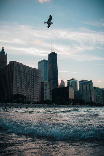 A vertical shot of the skyscrapers in the Loop community area of Chicago, Illinois, USA