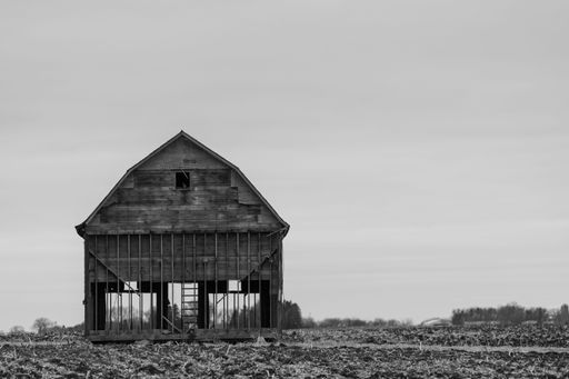A grayscale shot of old wooden barn amongst agricultural field