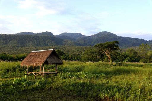 An old hut in a tropical area on a sunny day