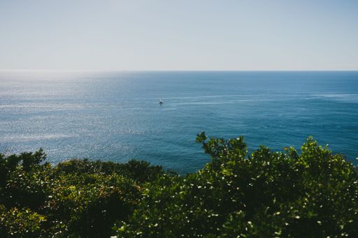 Wide Shot Of A Boat Cruising n The Blue Ocean With Green Leaves In The Foreground